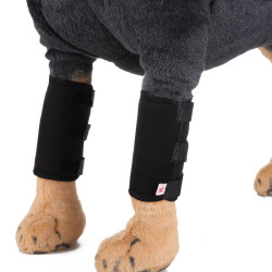 Pet Front Leg Brace Dog Leg Compression Wrap Canine Joint Pain Protection Sleeve with Reflectorize Strip